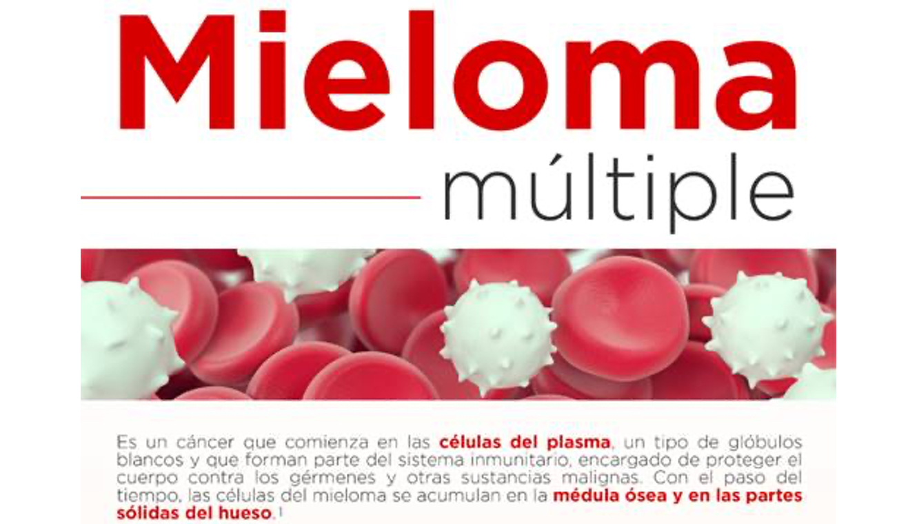 portada dia mundial mieloma